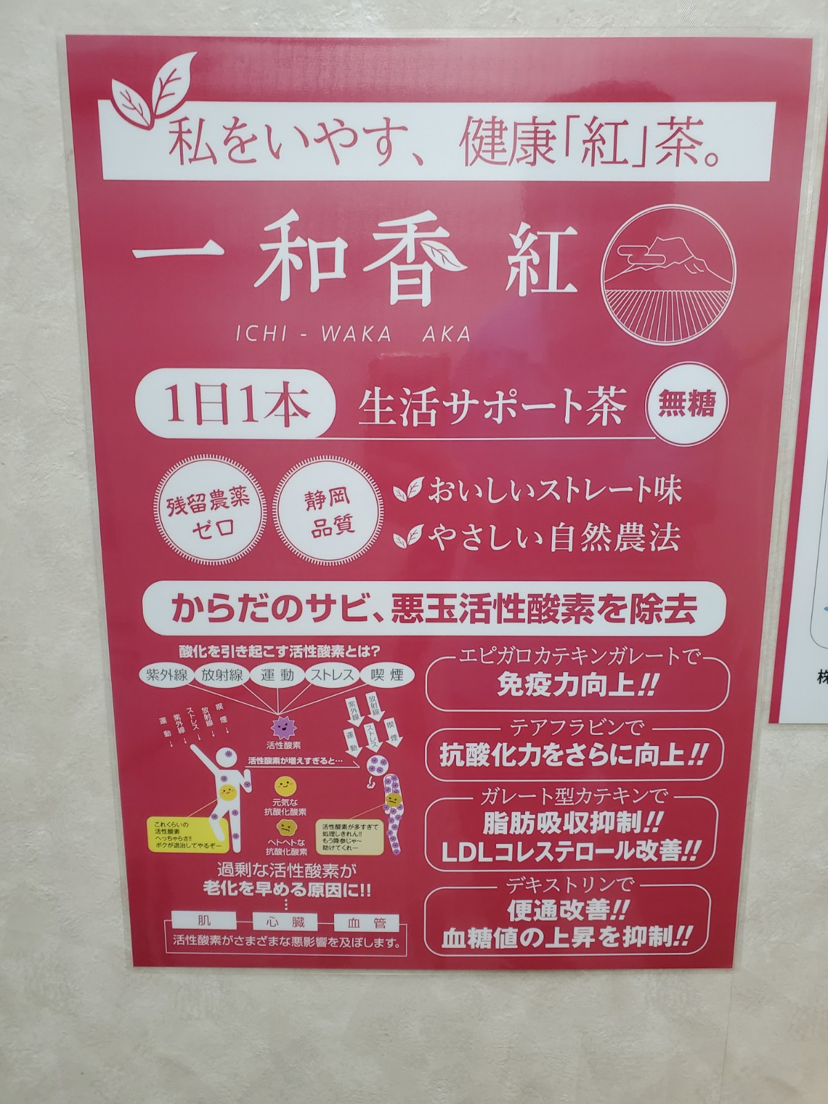 一和香　紅！