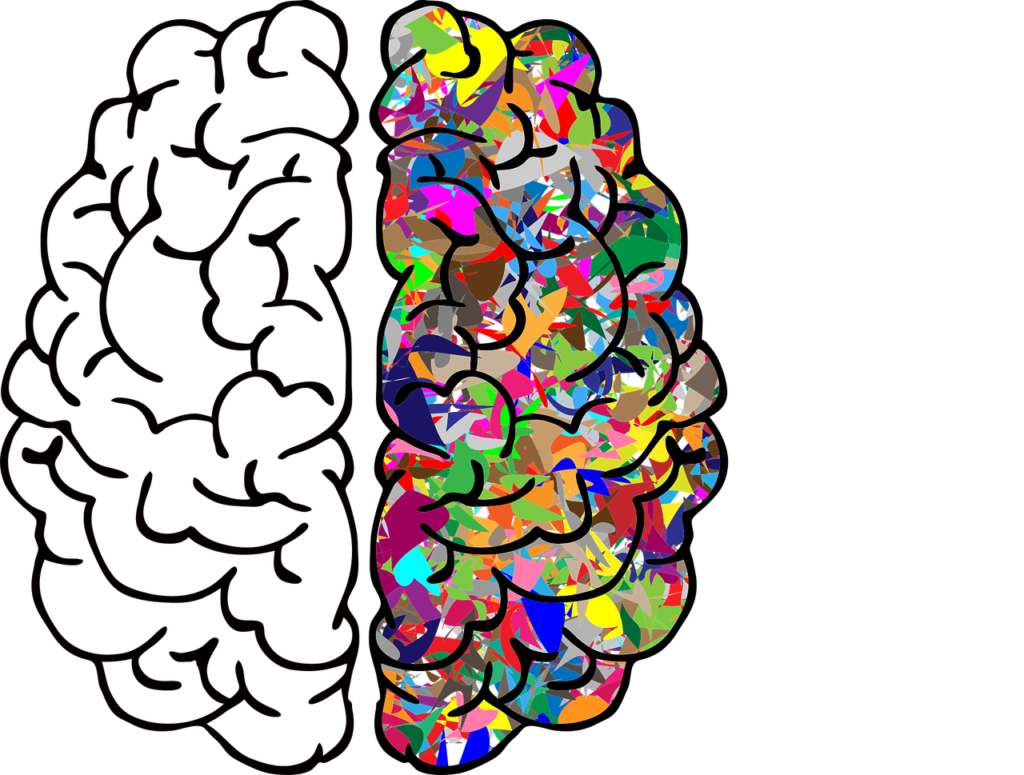brain-2750415_1280 (1)